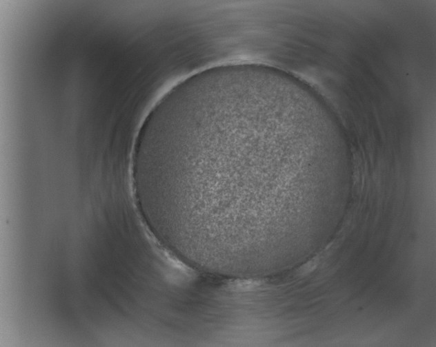 X0000067911278200604201355