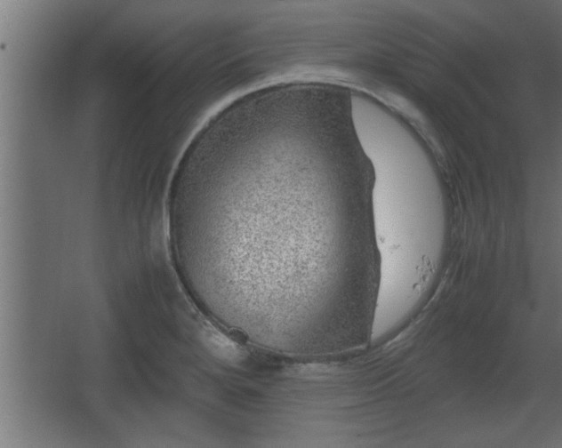 X0000067911280200604201355