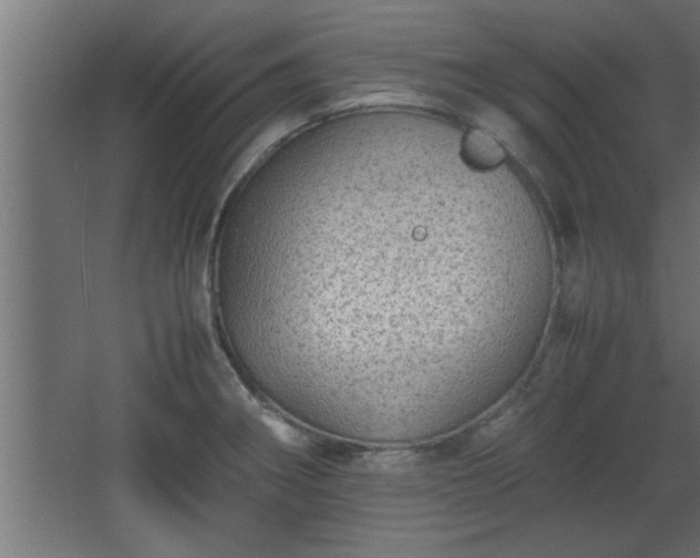 X0000067911282200604201355