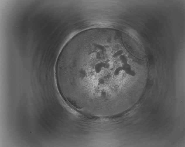 X0000067911283200604201355