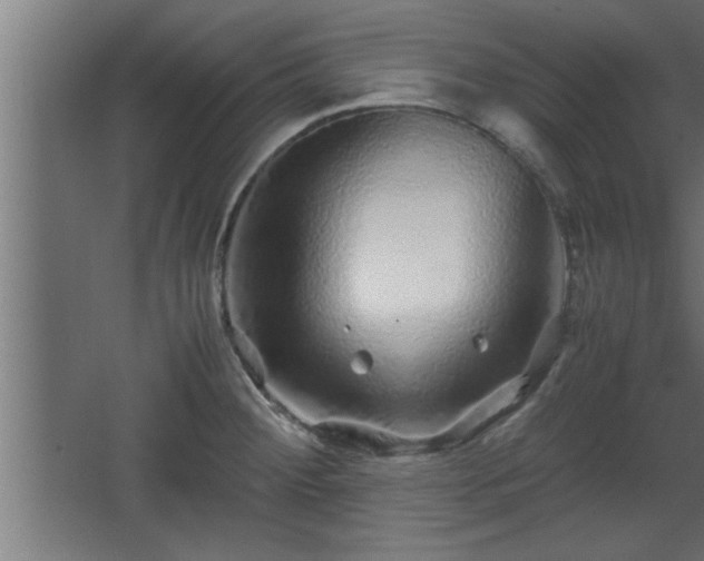 X0000067911284200604201355