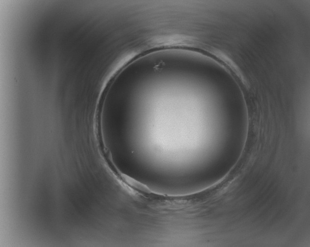 X0000067911285200604201355