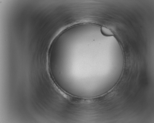 X0000067911286200604201355