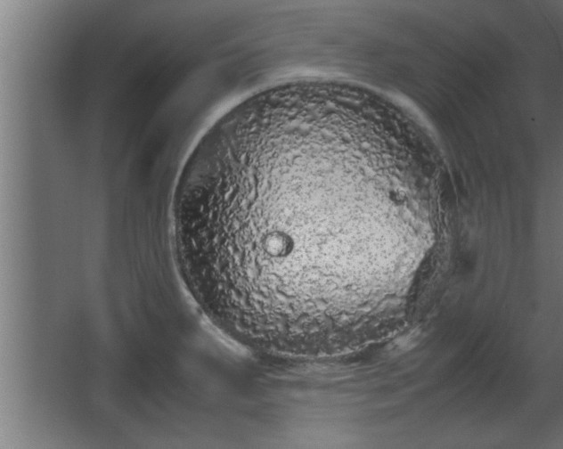 X0000067911287200604201355