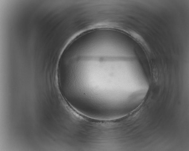 X0000067911288200604201355