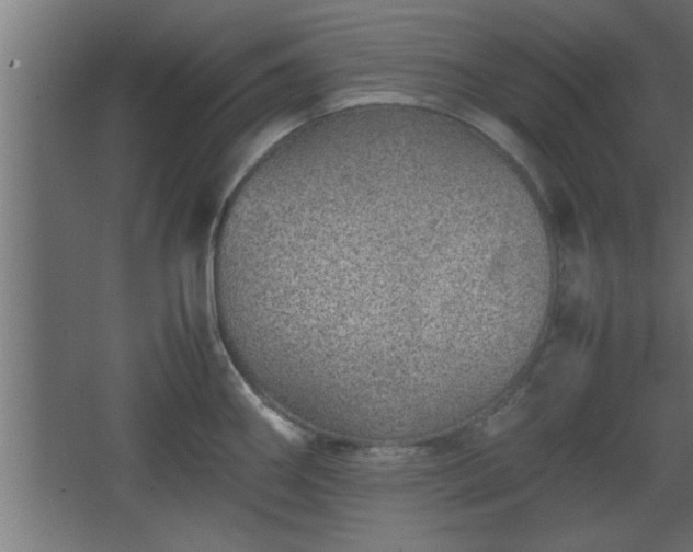 X0000067911290200604201355