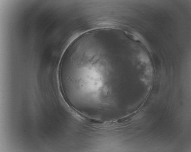 X0000067911291200604201355