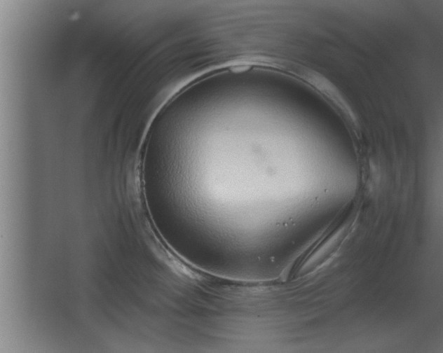 X0000067911292200604201355