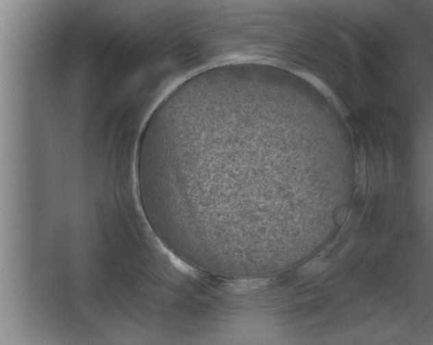 X0000067911294200604201355