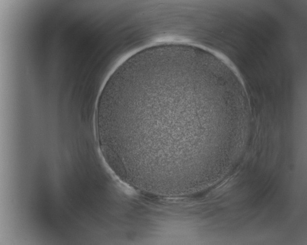 X0000067911295200604201354