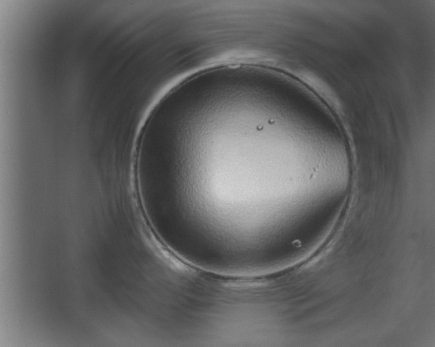 X0000067911296200604201354