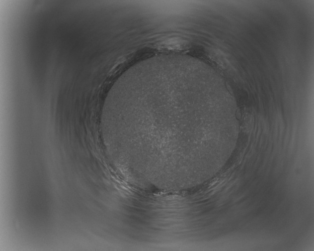 X0000067911297200604201354