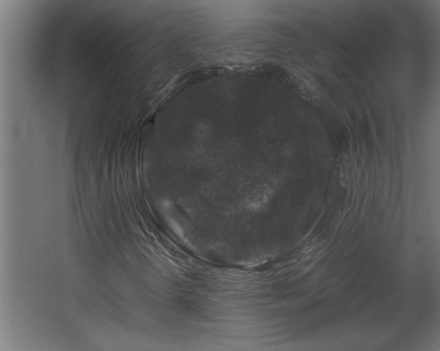 X0000067911298200604201354