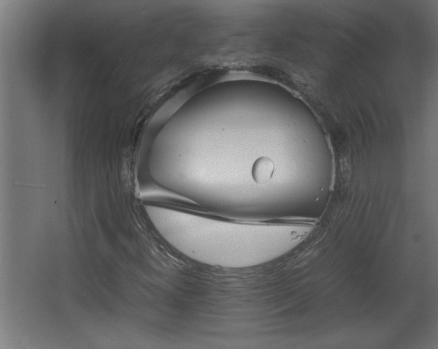 X0000067911300200604201354