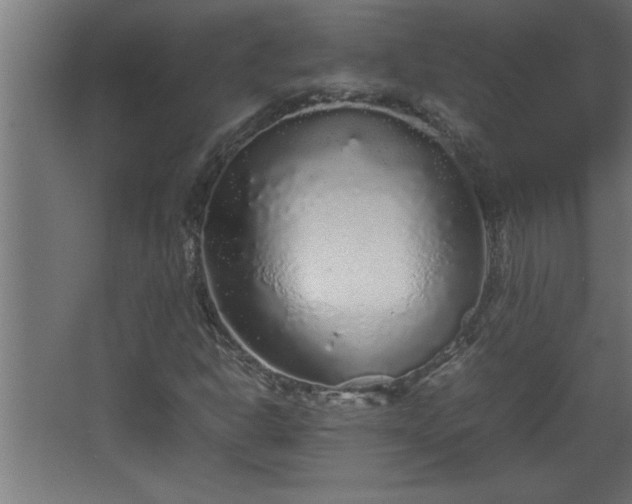 X0000067911302200604201354