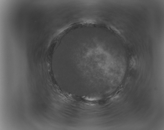 X0000067911303200604201354