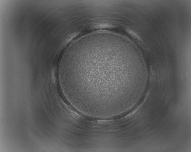 X0000067911305200604201354