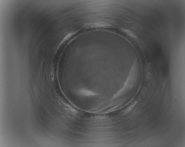 X0000067911306200604201354