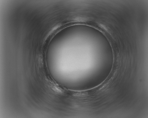 X0000067911307200604201354