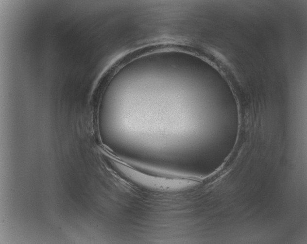 X0000067911310200604201354