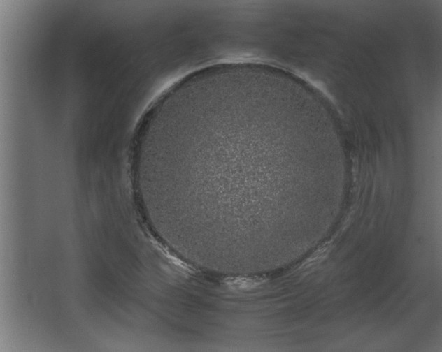 X0000067911311200604201354