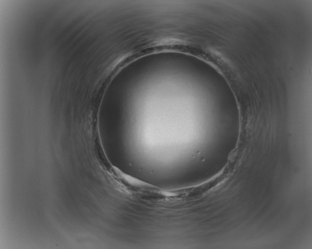 X0000067911313200604201354