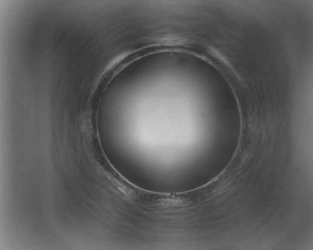 X0000067911315200604201354