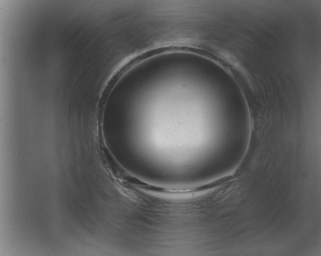 X0000067911316200604201354