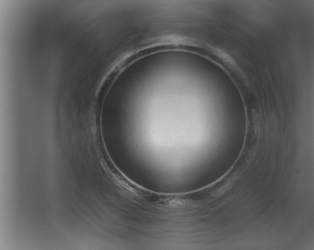 X0000067911318200604201354