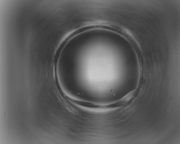 X0000067911320200604201354