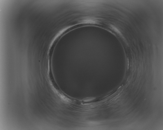 X0000067911323200604201354