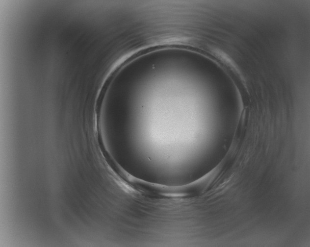 X0000067911324200604201354