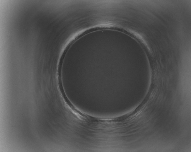 X0000067911327200604201354