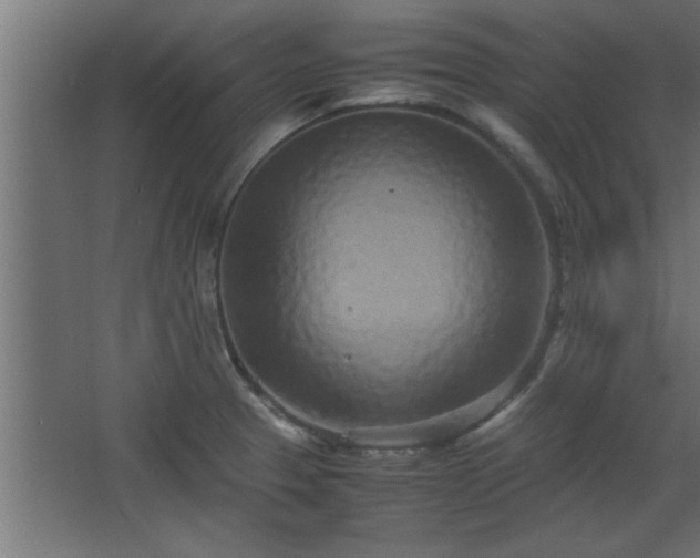 X0000067911329200604201354