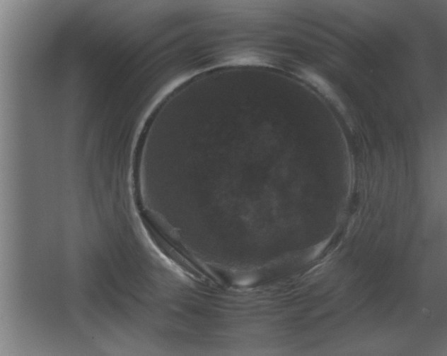 X0000067911331200604201354