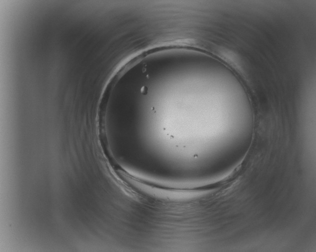 X0000067911332200604201354