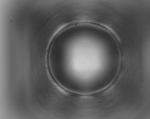 X0000067911333200604201354