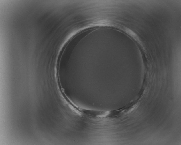 X0000067911334200604201354