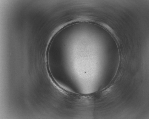 X0000067911335200604201354