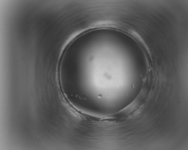 X0000067911336200604201354