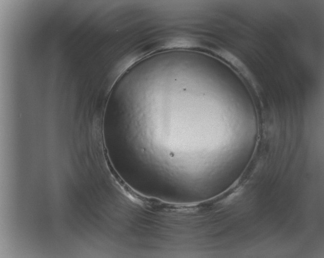 X0000067911337200604201354