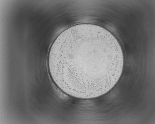 X0000067911338200604201354