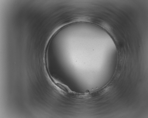 X0000067911339200604201354