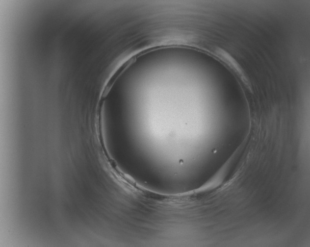 X0000067911340200604201354