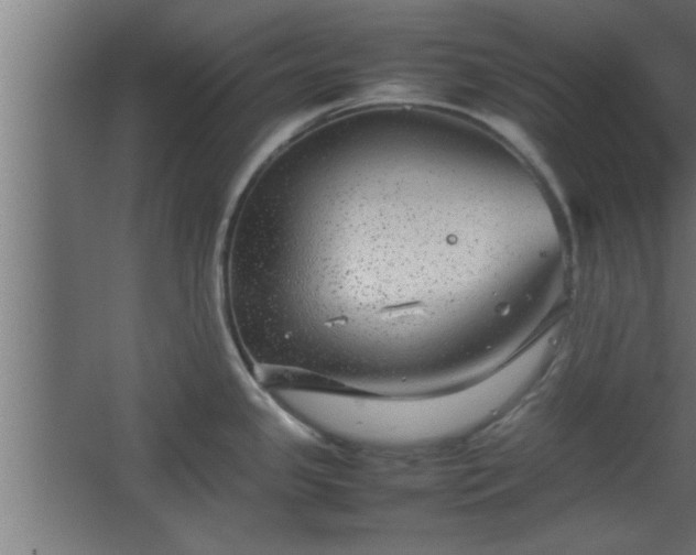 X0000067911341200604201354