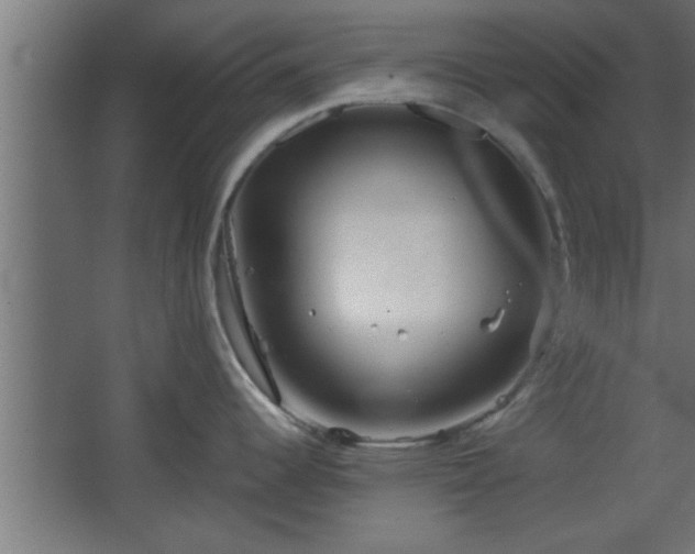 X0000067911344200604201354