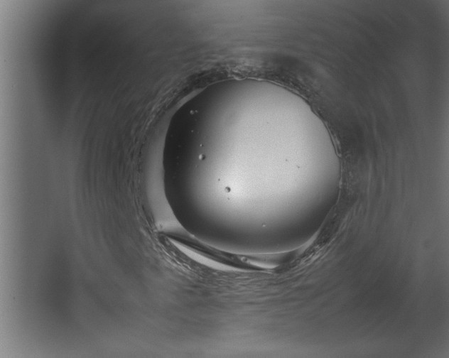 X0000067911345200604201354