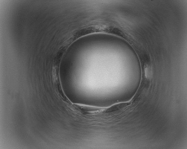 X0000067911347200604201354