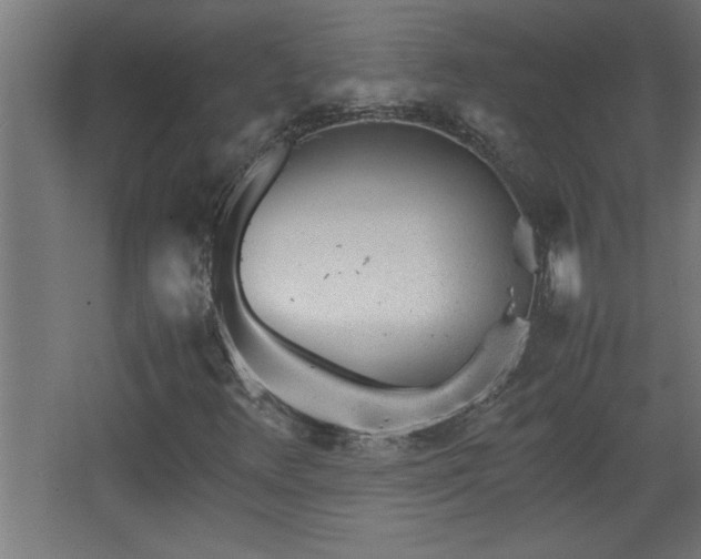 X0000067911348200604201354