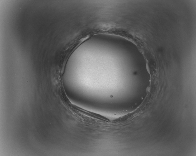 X0000067911349200604201354